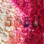 Eau de Parfum Rollerball Set